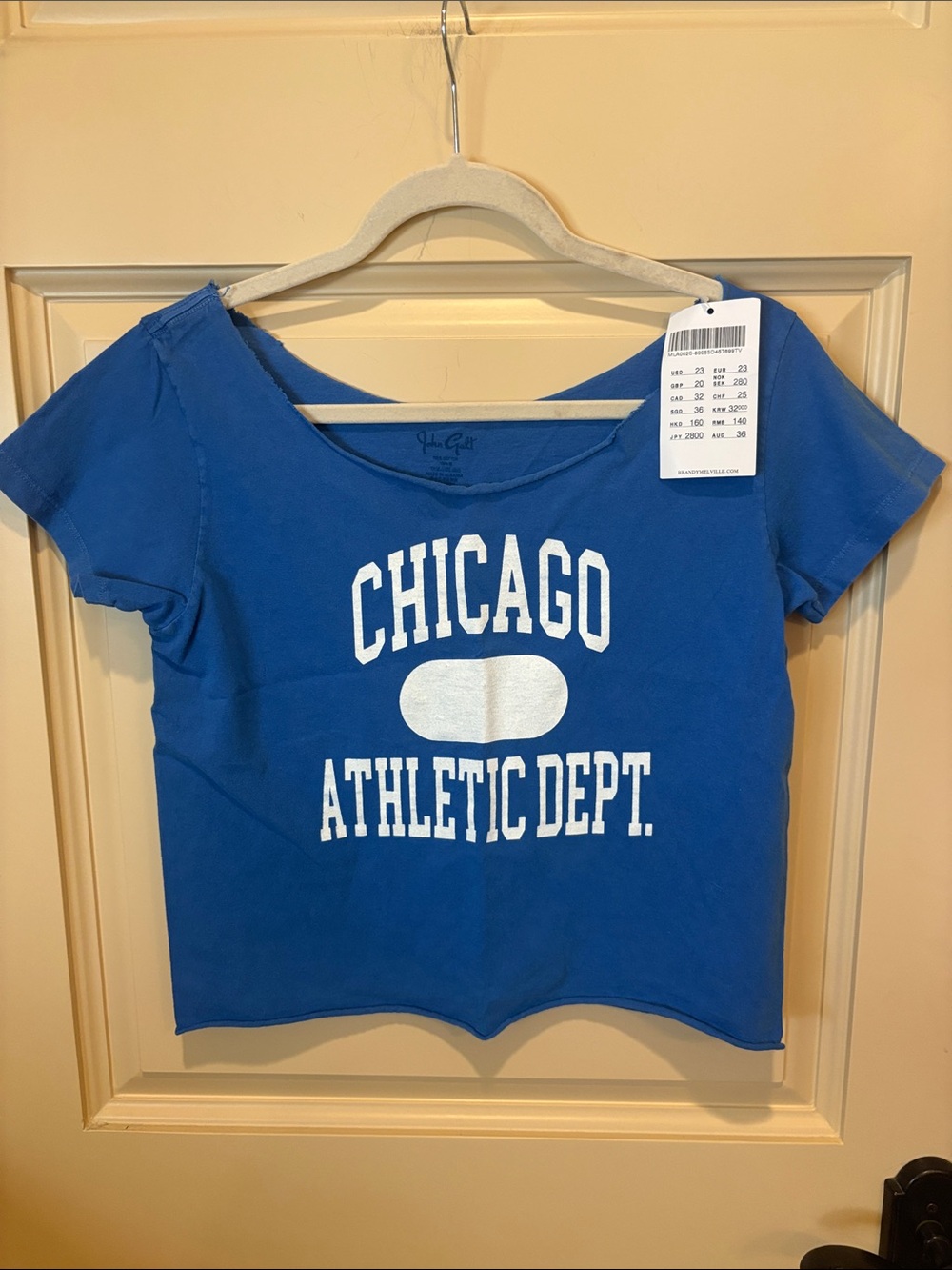 Brandy Melville Blue 'Chicago Athletic Dept.' Crop Tee